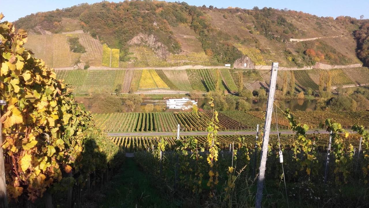 Gaestehaus Moselblick 트리텐하임 외부 사진